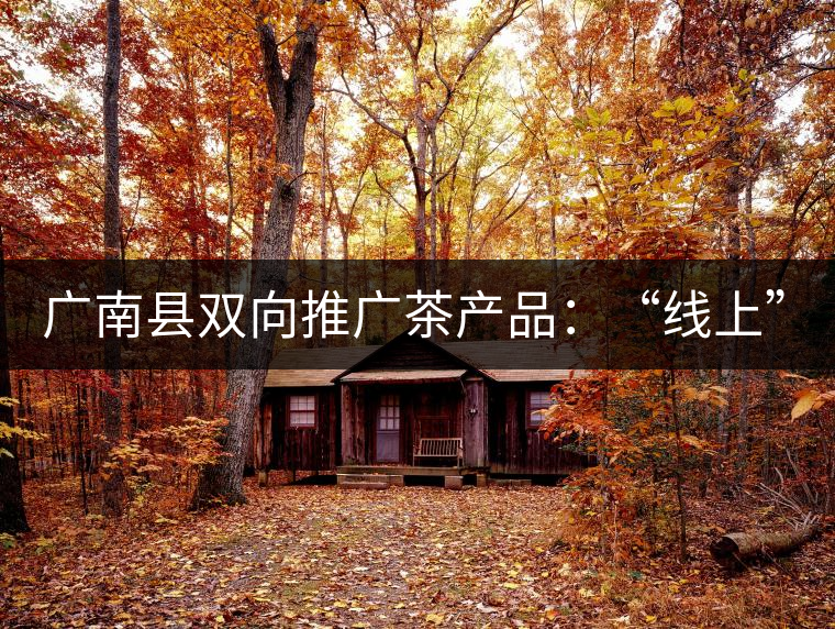 廣南縣雙向推廣茶產(chǎn)品：“線上”銷售茶葉已有100多家，“線下”銷售額已達(dá)百萬(wàn)