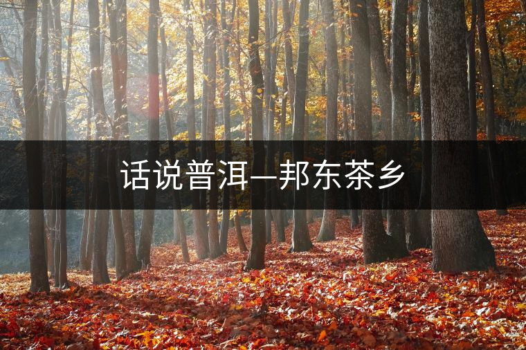 話說普洱—邦東茶鄉(xiāng)