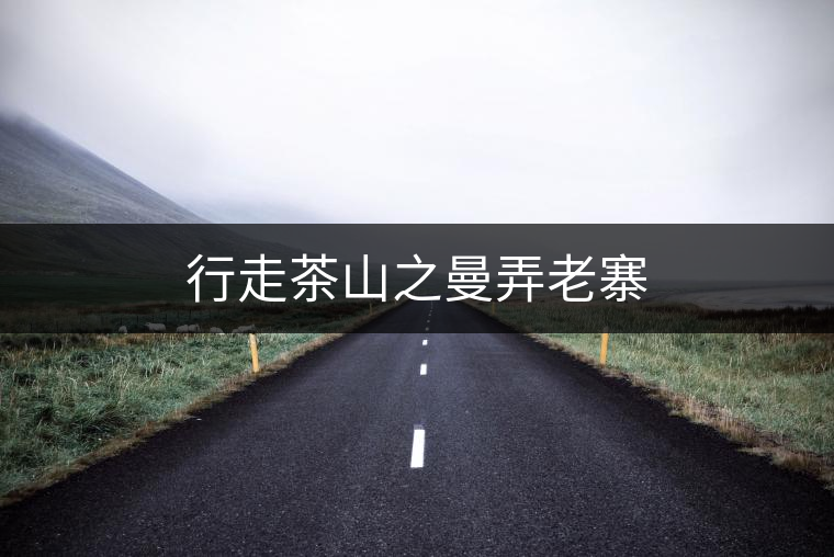 行走茶山之曼弄老寨