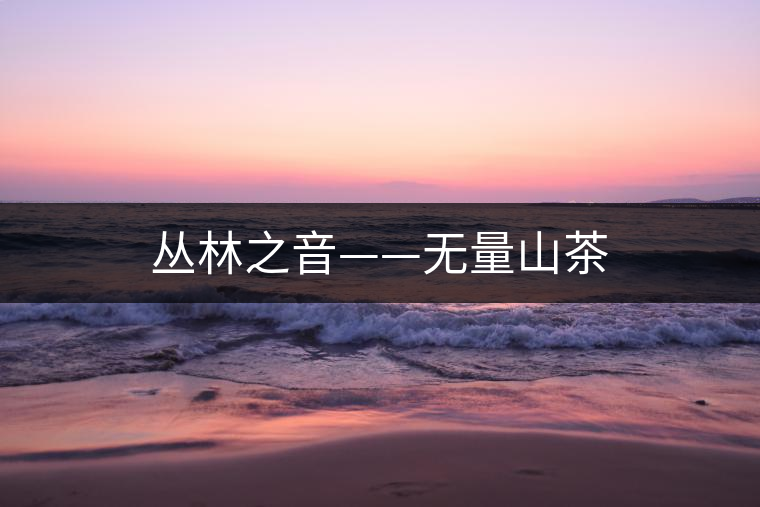 叢林之音——無(wú)量山茶