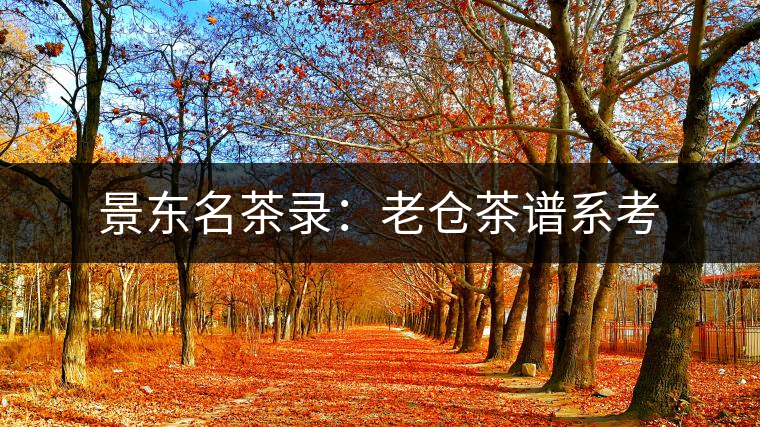 景東名茶錄：老倉茶譜系考