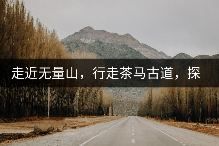走近無(wú)量山，行走茶馬古道，探訪云南千年茶山