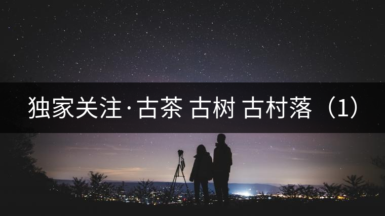 獨家關(guān)注·古茶 古樹 古村落(1) 獨家關(guān)注·古茶 古樹 古村落(1)
