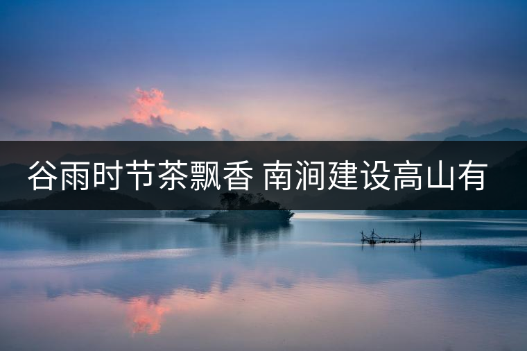 谷雨時節(jié)茶飄香 南澗建設(shè)高山有機茶葉生產(chǎn)基地