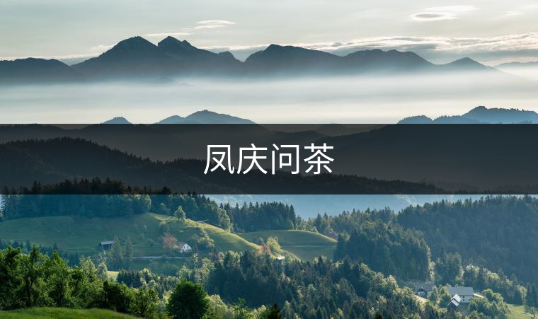 鳳慶問茶 鳳慶問茶