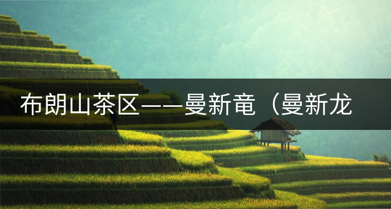 布朗山茶區(qū)——曼新竜(曼新龍)普洱茶 布朗山茶區(qū)——曼新竜(曼新龍)普洱茶