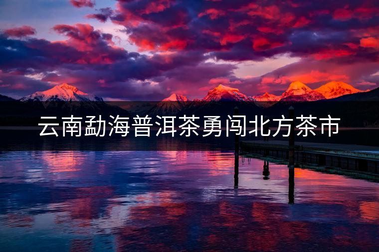 云南勐海普洱茶勇闖北方茶市 云南勐海普洱茶勇闖北方茶市