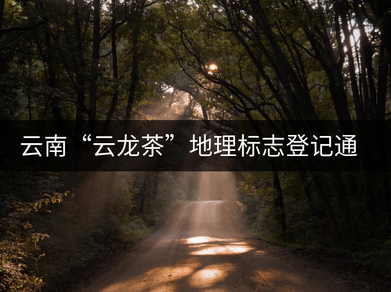 云南“云龍茶”地理標志登記通過專家評審