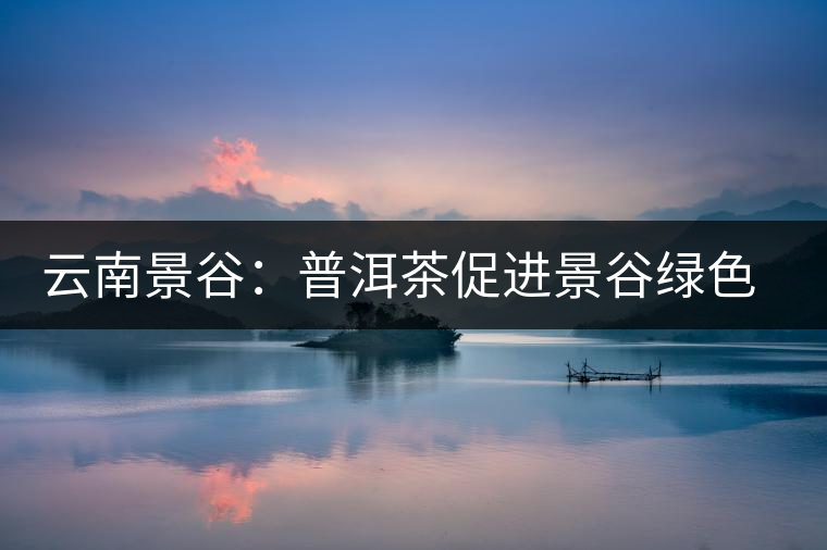 云南景谷：普洱茶促進景谷綠色生態(tài)產(chǎn)業(yè)的發(fā)展