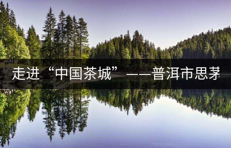 走進(jìn)“中國茶城”——普洱市思茅區(qū)(組圖)