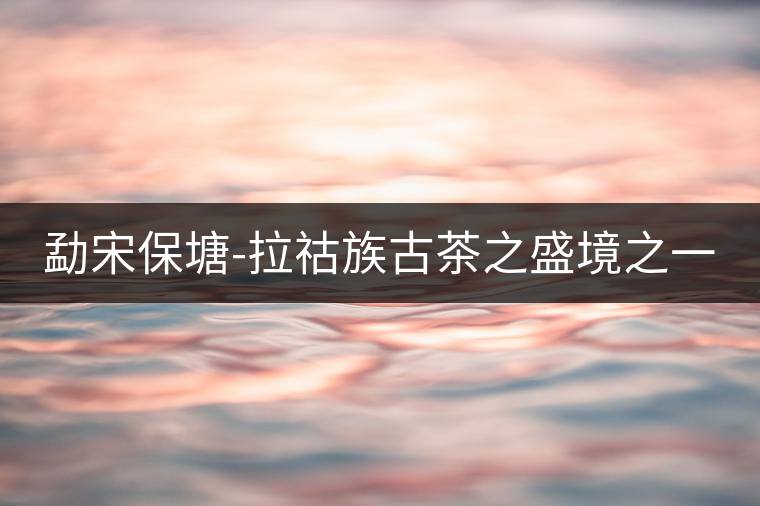 勐宋保塘-拉祜族古茶之盛境之一