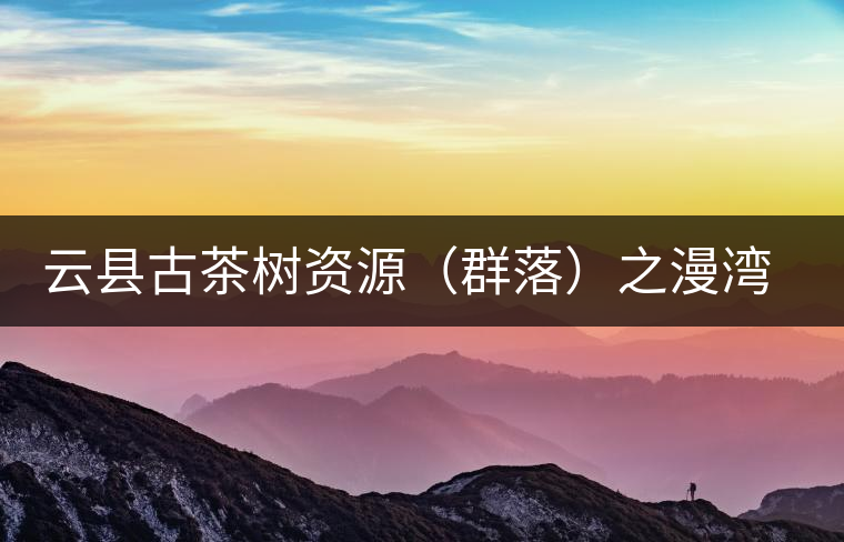云縣古茶樹資源（群落）之漫灣鎮(zhèn)、茂蘭鎮(zhèn)大丙山