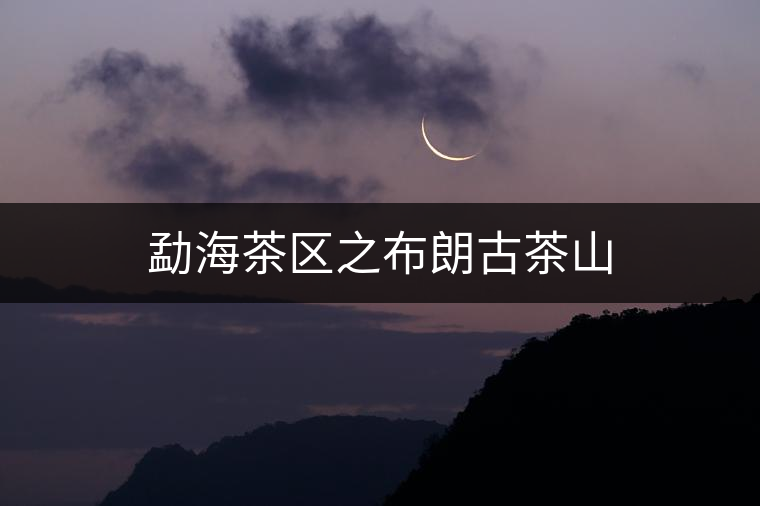 勐海茶區(qū)之布朗古茶山