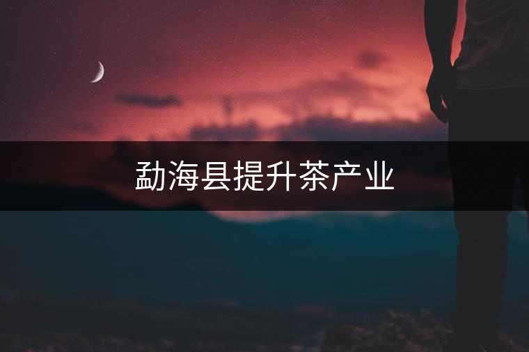 勐?？h提升茶產(chǎn)業(yè)