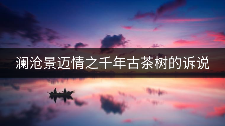 瀾滄景邁情之千年古茶樹的訴說(shuō)