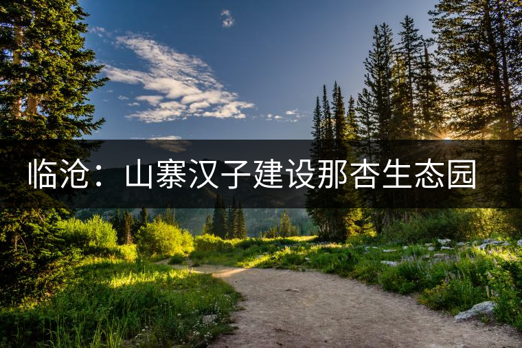 臨滄：山寨漢子建設(shè)那杏生態(tài)園 帶動(dòng)茶農(nóng)增收致富