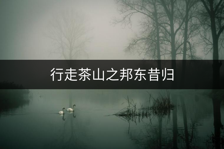 行走茶山之邦東昔歸