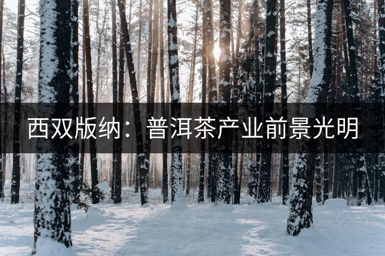西雙版納:普洱茶產(chǎn)業(yè)前景光明 西雙版納:普洱茶產(chǎn)業(yè)前景光明
