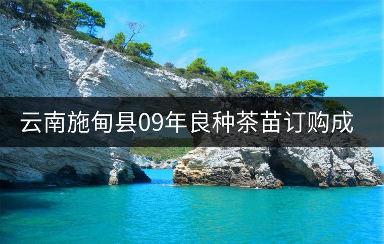 云南施甸縣09年良種茶苗訂購成功