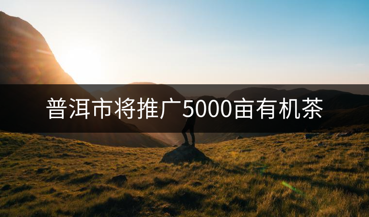 普洱市將推廣5000畝有機(jī)茶