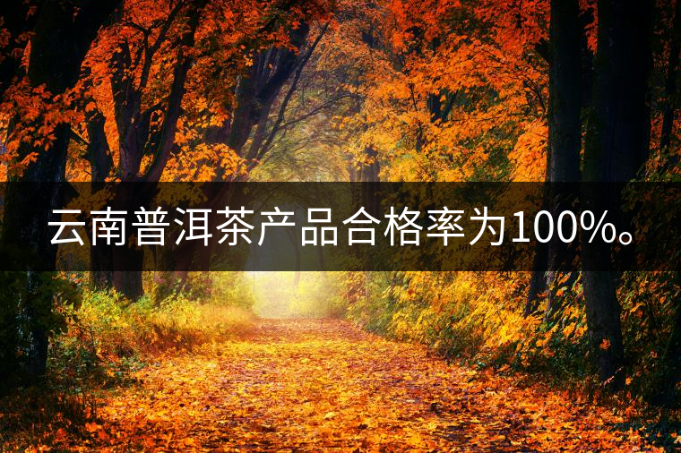 云南普洱茶產(chǎn)品合格率為100%。