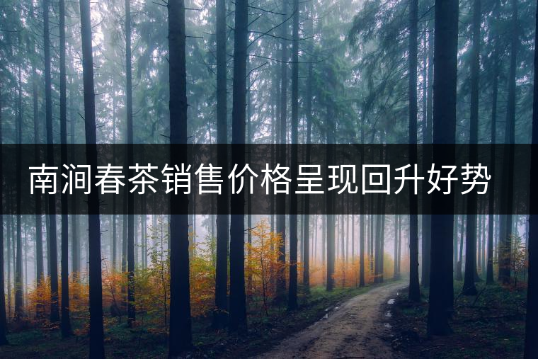 南澗春茶銷售價(jià)格呈現(xiàn)回升好勢頭