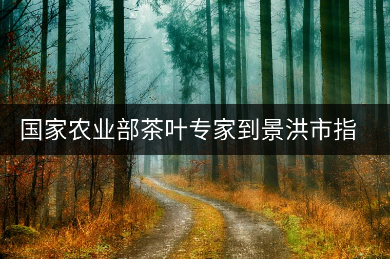 國家農業(yè)部茶葉專家到景洪市指導抗旱