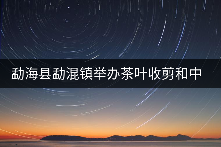 勐海縣勐混鎮(zhèn)舉辦茶葉收剪和中耕培土現(xiàn)場(chǎng)培訓(xùn)會(huì) 勐海縣勐混鎮(zhèn)舉辦茶葉收剪和中耕培土現(xiàn)場(chǎng)培訓(xùn)會(huì)