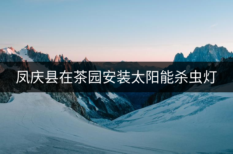 鳳慶縣在茶園安裝太陽能殺蟲燈