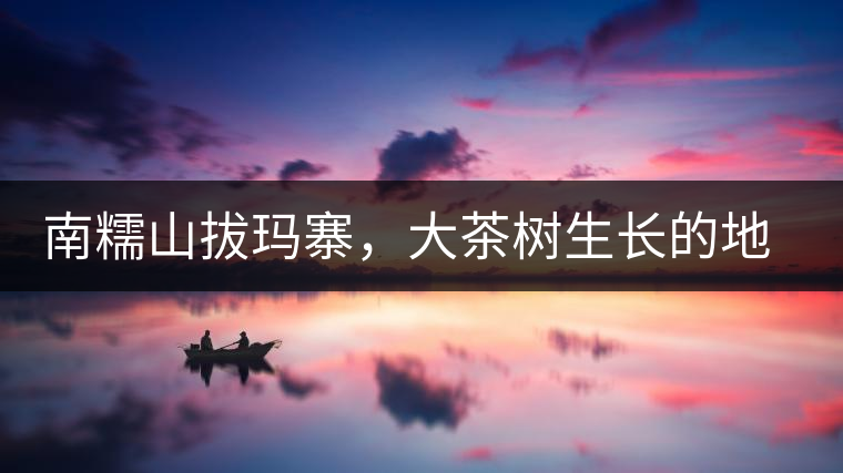 南糯山拔瑪寨，大茶樹生長的地方