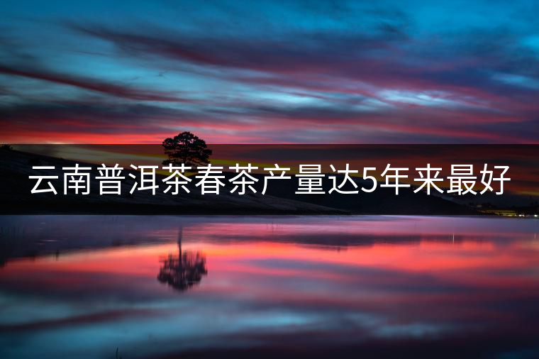 云南普洱茶春茶產(chǎn)量達(dá)5年來最好 云南普洱茶春茶產(chǎn)量達(dá)5年來最好