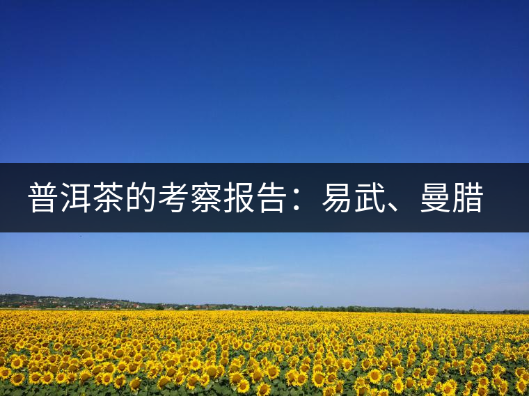 普洱茶的考察報告：易武、曼臘鄉(xiāng)古茶山