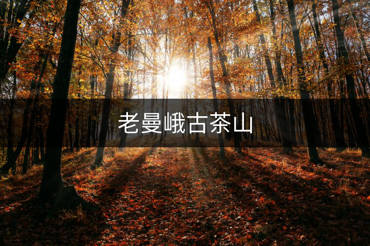 老曼峨古茶山