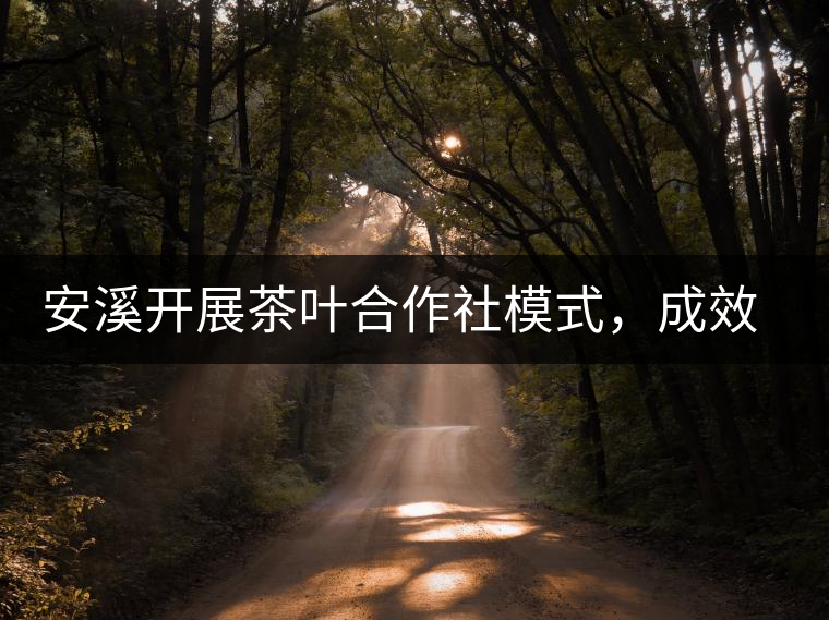 安溪開展茶葉合作社模式，成效初顯