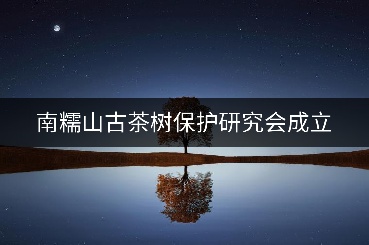 南糯山古茶樹保護(hù)研究會成立