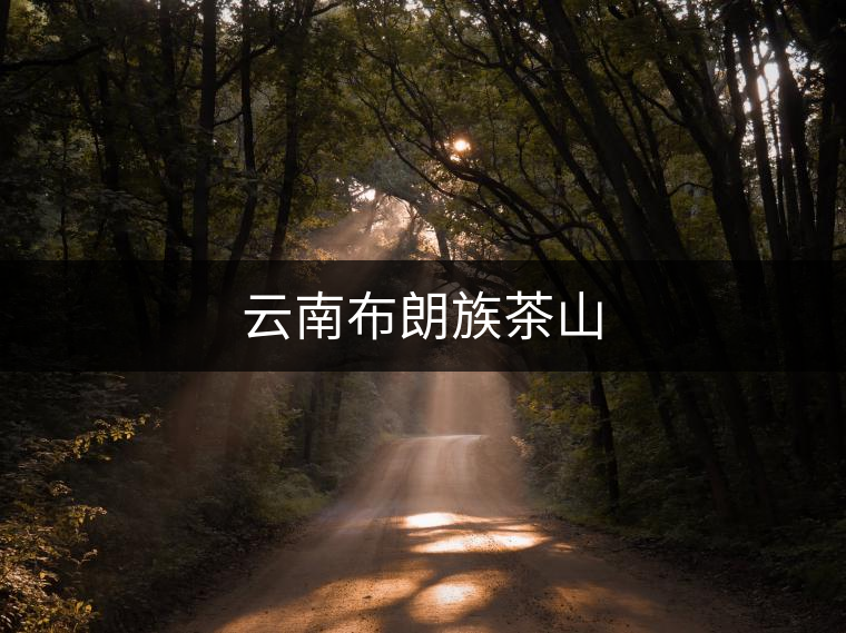 云南布朗族茶山