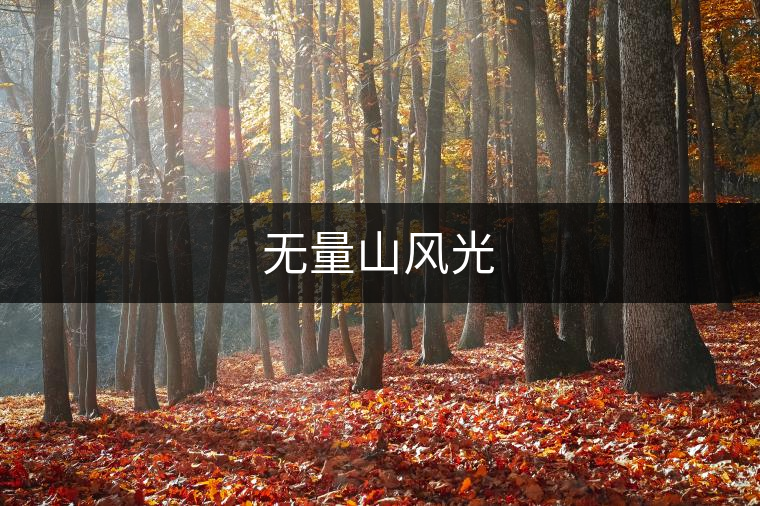 無量山風光