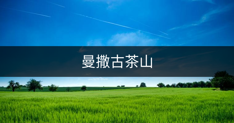 曼撒古茶山