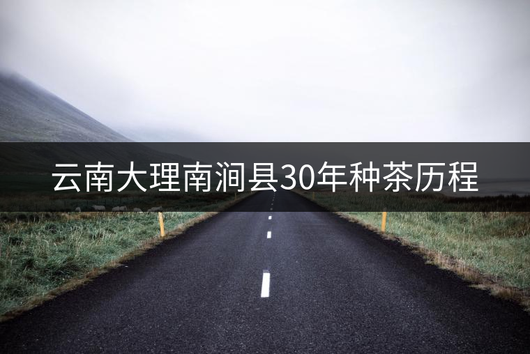 云南大理南澗縣30年種茶歷程 云南大理南澗縣30年種茶歷程