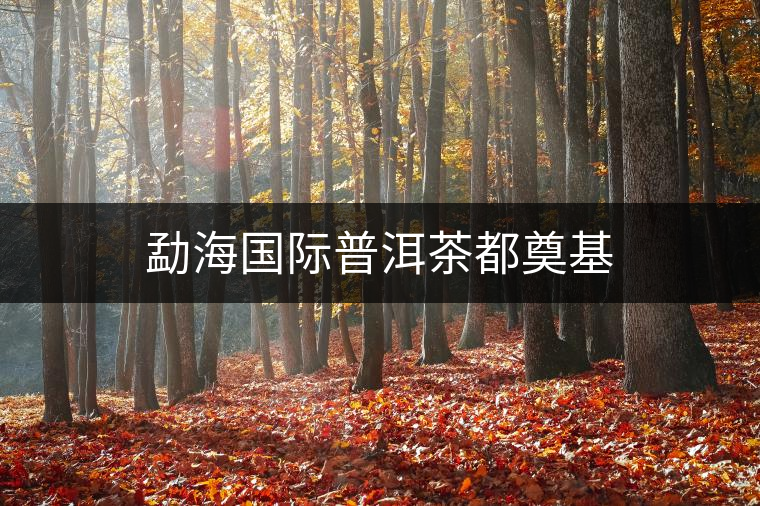 勐海國際普洱茶都奠基