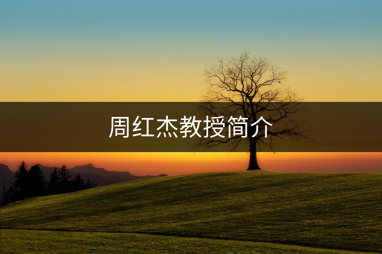 周紅杰教授簡介
