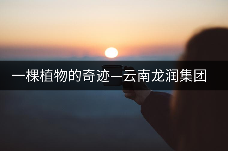 一棵植物的奇跡—云南龍潤集團董事局主席焦家良