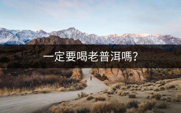 一定要喝老普洱嗎？