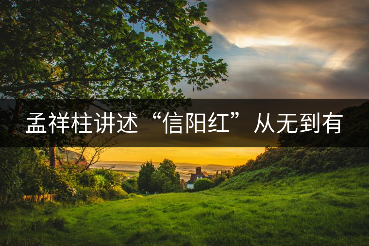 孟祥柱講述“信陽(yáng)紅”從無(wú)到有