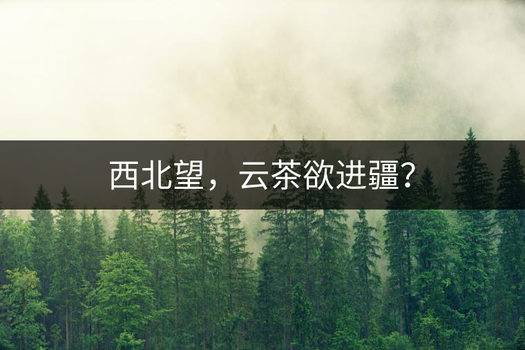 西北望，云茶欲進(jìn)疆？
