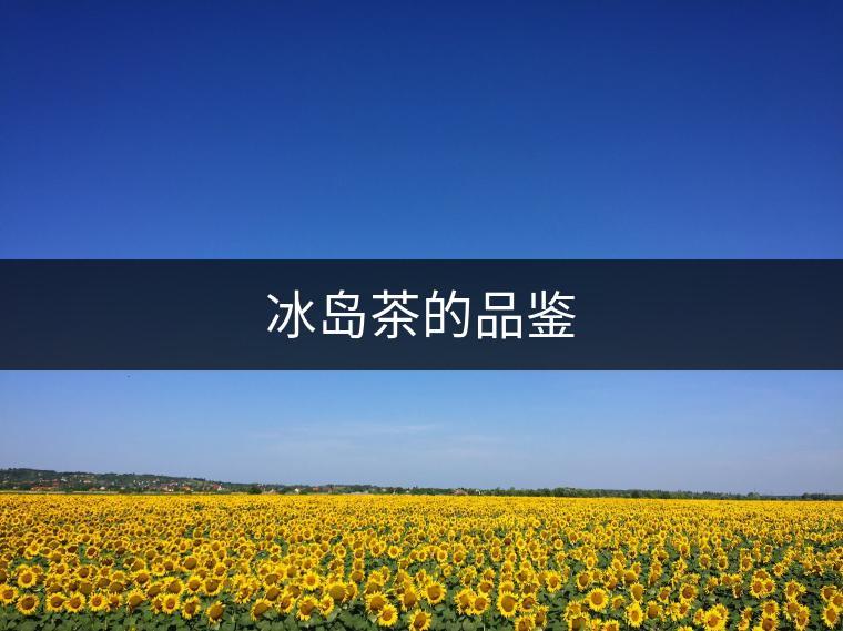 冰島茶的品鑒