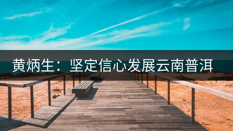 黃炳生:堅定信心發(fā)展云南普洱茶產(chǎn)業(yè) 黃炳生:堅定信心發(fā)展云南普洱茶產(chǎn)業(yè)
