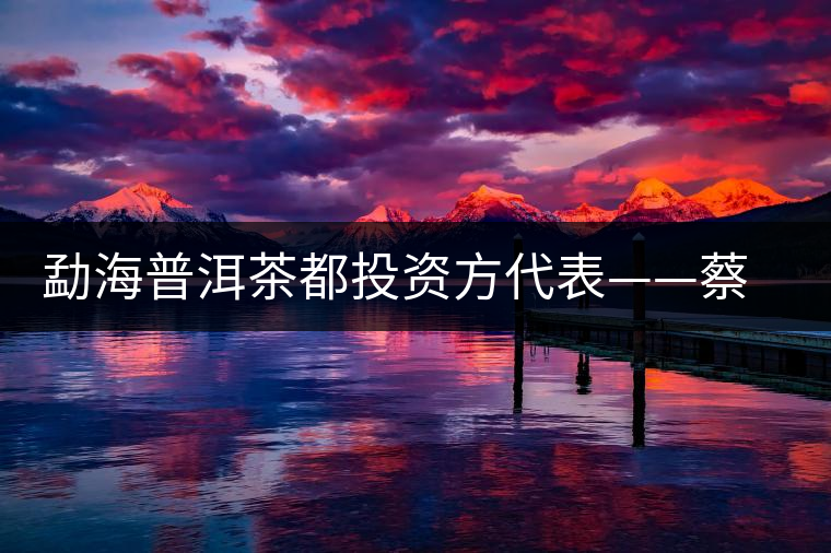 勐海普洱茶都投資方代表——蔡乃安專訪 勐海普洱茶都投資方代表——蔡乃安專訪