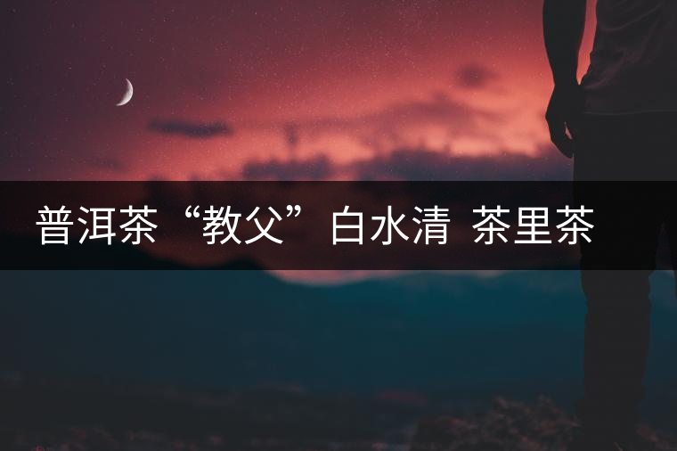 普洱茶“教父”白水清  茶里茶外皆人生
