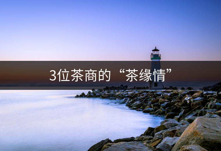 3位茶商的“茶緣情”